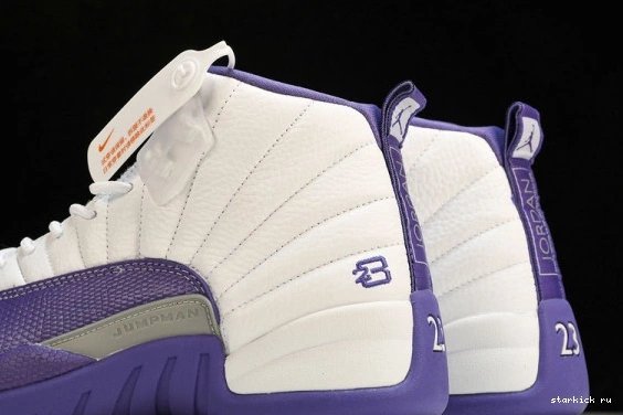 CT8013-150 CT8013-150 Jordan Retro 12 Purple 0111